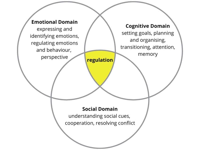 Social emotional cognitive sale